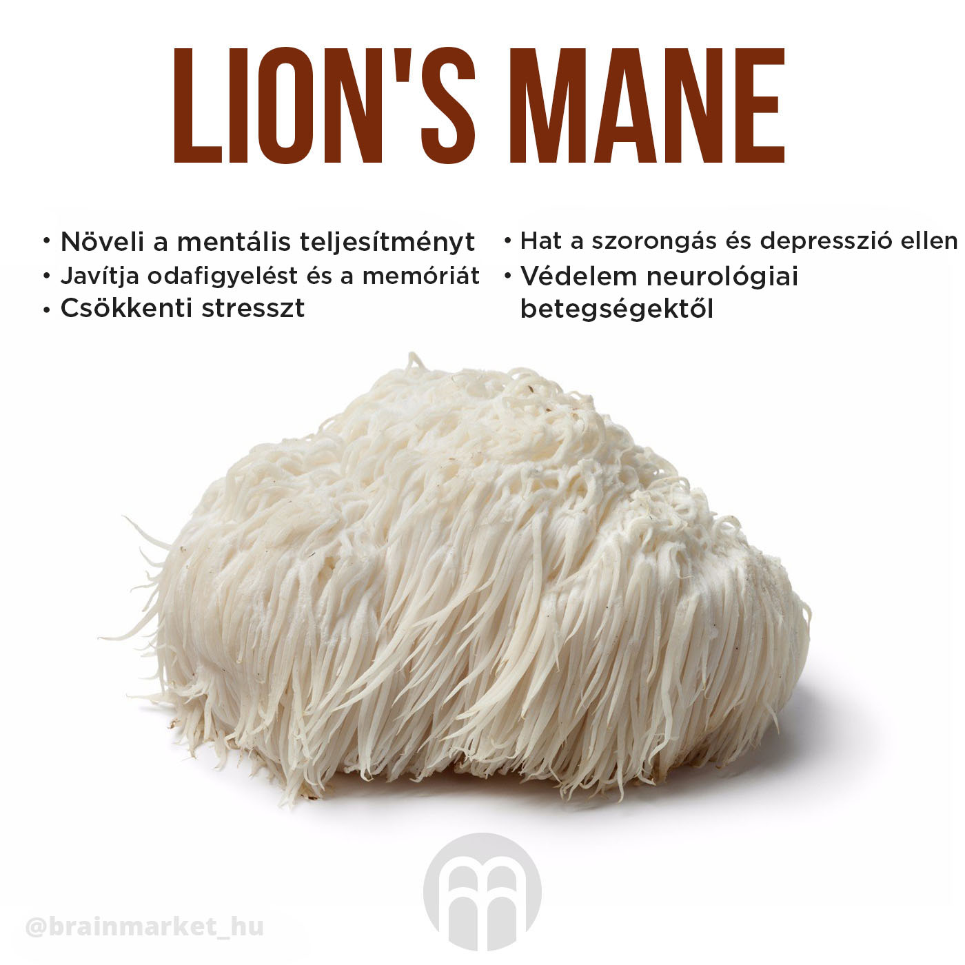 lions_mane_infografika_brainmarket_hu (1)